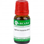 AGARICUS MUSCARIUS LM 6 Dilution 10 ml